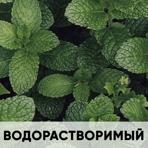 Ароматизатор пищевой натуральный водорастворимый, мята KREDA