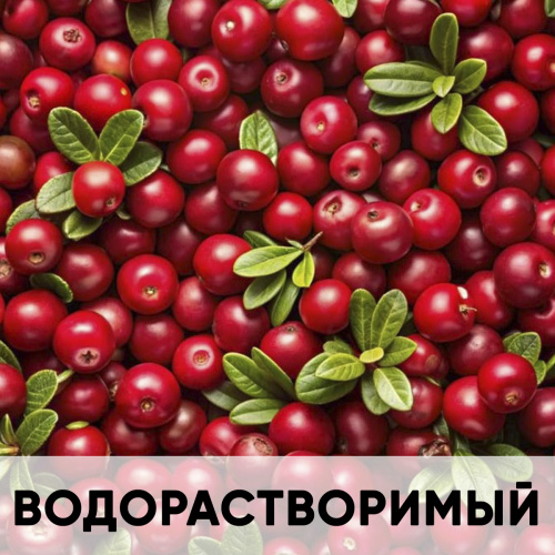 Ароматизатор пищевой натуральный водорастворимый, брусника KREDA